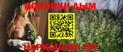 сатива Моздок