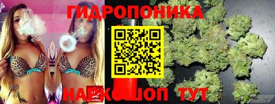 сатива Моздок